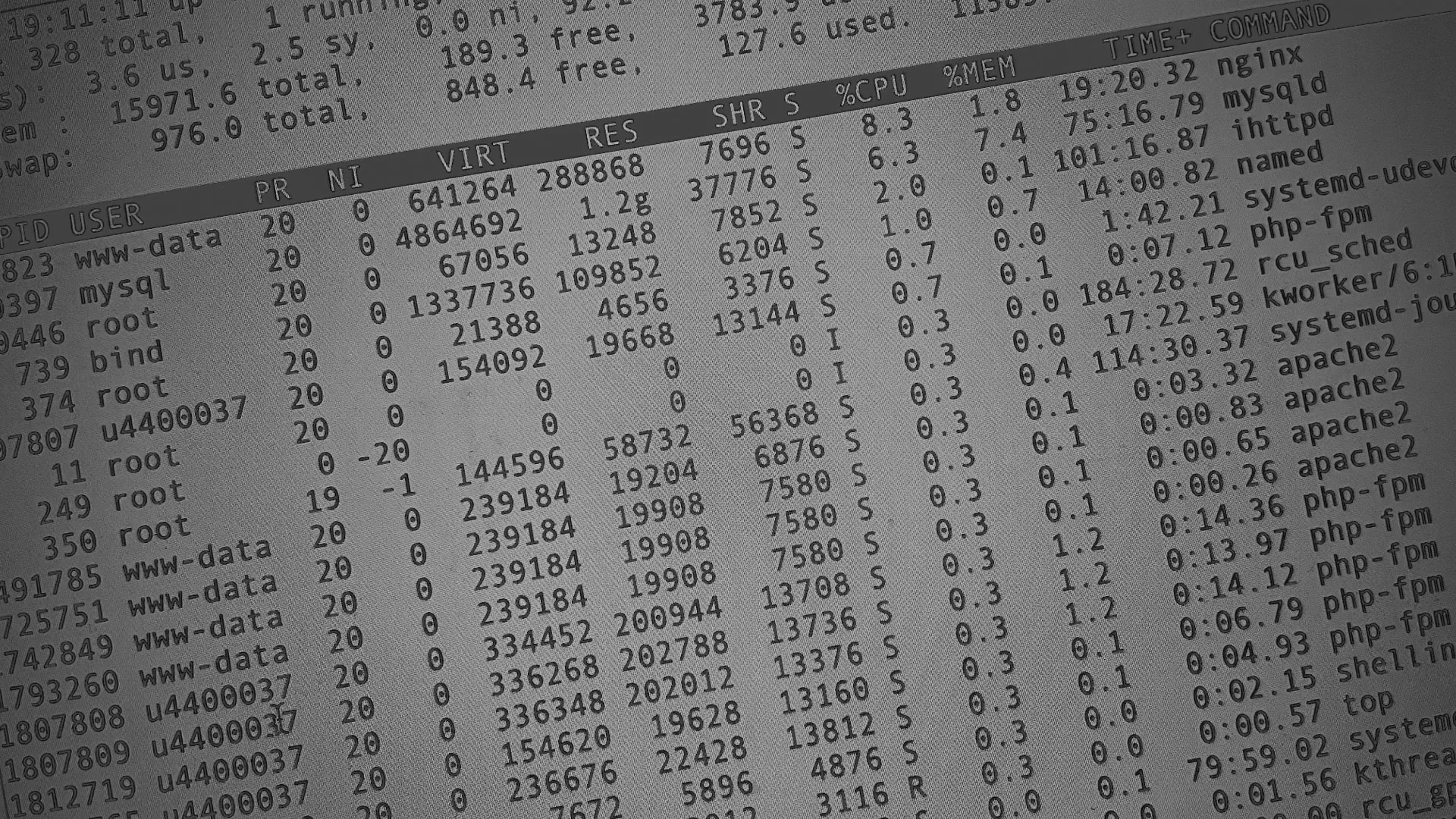 Настройка сервера в Духовщине